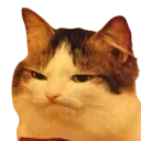 chunxa