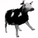 _ryukuu_
