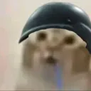 boi.zip