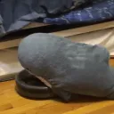 survxlt