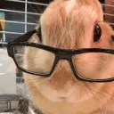 oi_simon