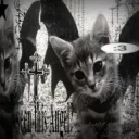 purrplesoul