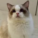 juanchishing