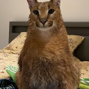 kitku123#2068's avatar