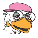 jorgicio