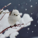 avatar ꧁༒༺ Volfer ༻༒꧂