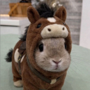 avatar ✦❘୨˚｡⋆༻𝓥𝑜𝓵𝓯𝑒𝓻˚｡⋆୧❘✦