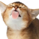 avatar I have lobotomy