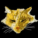 tabs_orange