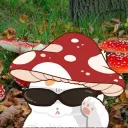 squishymallows__