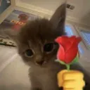.heksy