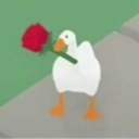 avatar 𝒮𝓊𝓀𝒾 ✨