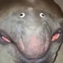 gremliners