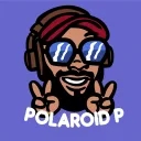 polaroidp