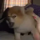 kiddsnooze
