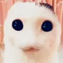 real_ohio_anti avatar