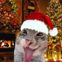 Аватар ddexlw_