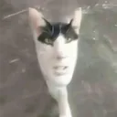 .batushka