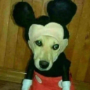 thepromanker-1268929233095229472