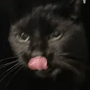 picopau