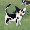 Discord Avatar