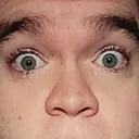 thewildchovi