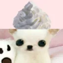 coohx