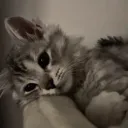 s0mniator