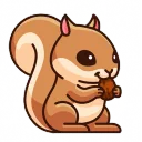 bethanyacorn