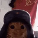 gekkzooo