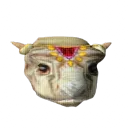 mynameisonionhaha