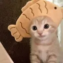 foxingpeach