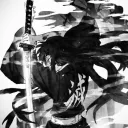 senaxzz__