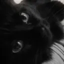 Avatar Właściciela