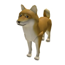 avatar Kohei