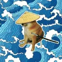 comma5354 avatar