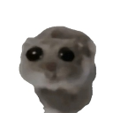 avatar may