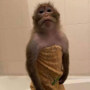 avatar małpiszon kurwiszon