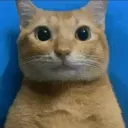 dereemii