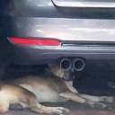 avatar The hash slinger slasher