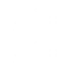 alternativekurviz6887