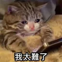 noname_0625