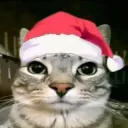 Аватар dahiil_