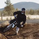 logdog43