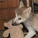 avatar 𝒃𝒂𝒗 ₊˚✩