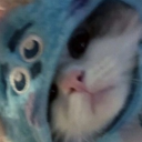 Discord Avatar