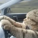 sdasdasdasdasd21313