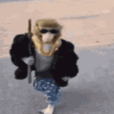 avatar 𝖃𝖆𝖎𝖔 𝕾𝖆𝖑𝖚𝖙