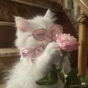 marifnr