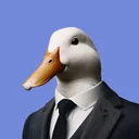 teasyx